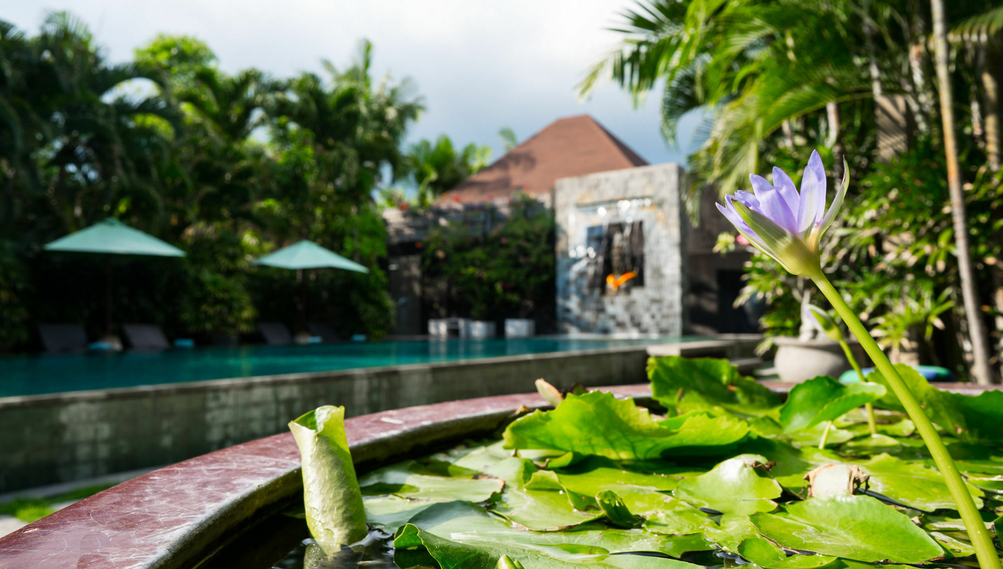 Cicada Luxury Townhouses Hotel